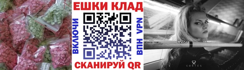 ЭКСТАЗИ Punisher  Купить закладки  Кизляр 