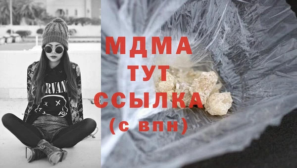стаф Дубна