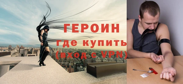 стаф Дубна