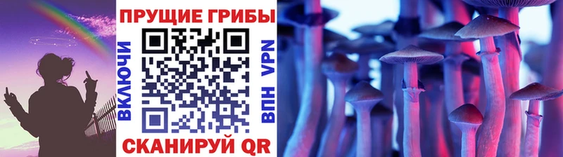 Купить  Кизляр  Псилоцибиновые грибы Magic Shrooms 
